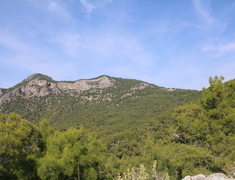 Mountain and Nature View Villas